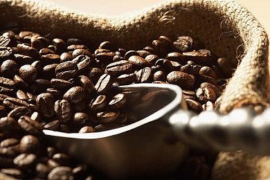 《天命奇御二》发布1.12.23.1更新 增加剧情对话快转功能