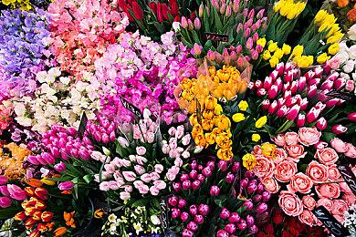 《DOTA2》TI12所有参赛队伍产生 中国战队2支